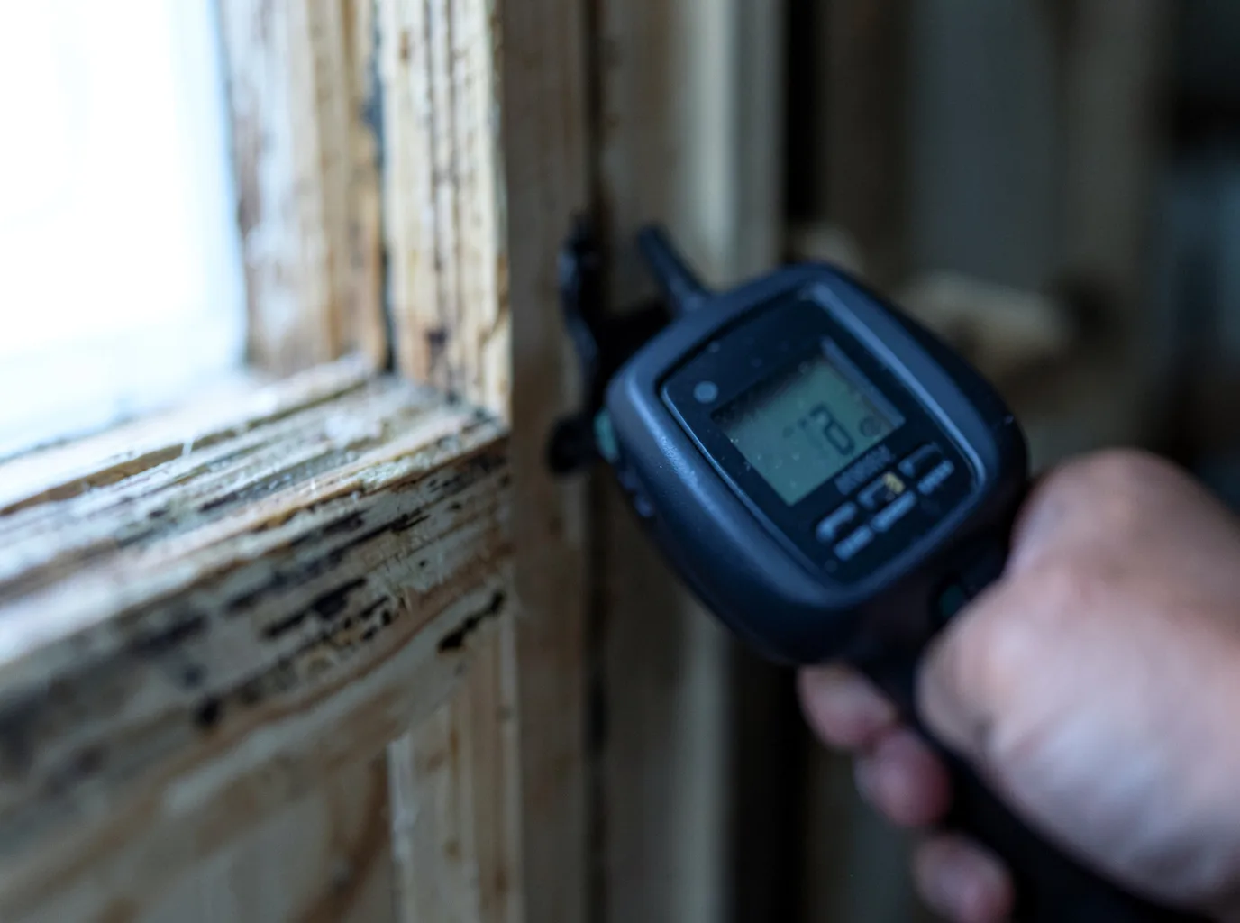 Moisture Inspection And Documentation in Falcon Heights, TX